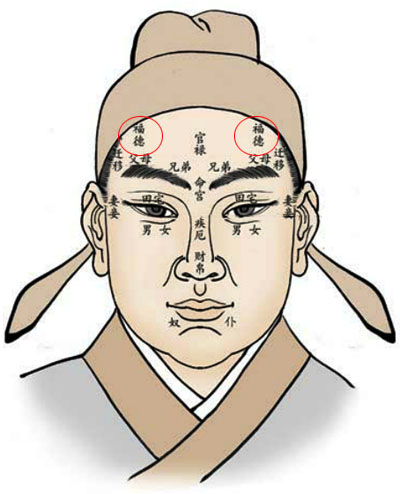 面相福德宫详解