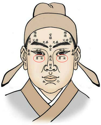 面相福德宫详解