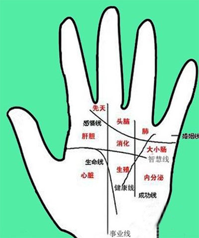 什么是事业线