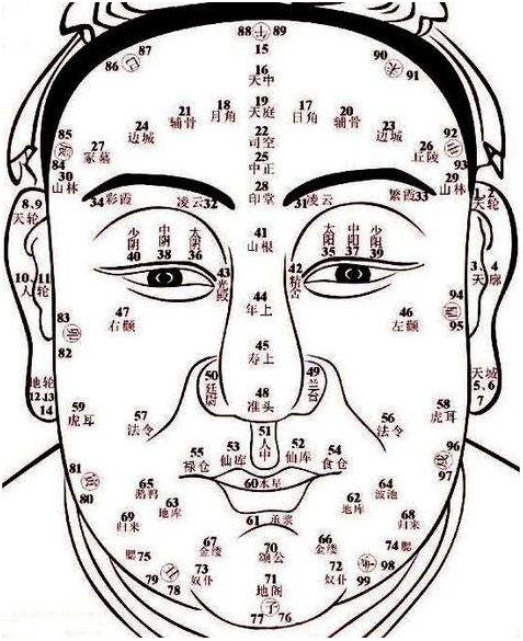 面相部位流年运气图解