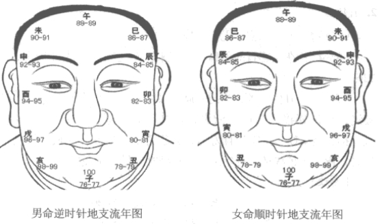 面相图解地支流年图