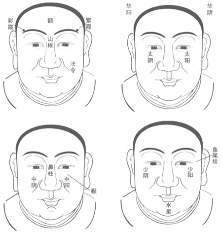 如何从面相上看40岁之前的运势?